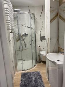 uma casa de banho com um chuveiro e um lavatório. em Apartament Malczewskiego em Klodzko