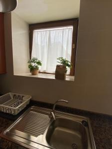 Durro的住宿－D01 CABIROL DURRO by IMMOVALL，厨房水槽设有窗户和两盆盆植物