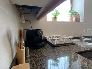 Durro的住宿－D01 CABIROL DURRO by IMMOVALL，厨房柜台设有碗碟干燥架和水槽
