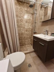 La salle de bains est pourvue de toilettes, d'un lavabo et d'une douche. dans l'établissement Urban City Apartments, à Xylokastro