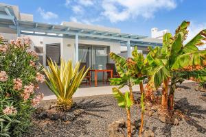 uma casa com um monte de plantas à frente dela em Mar Azul Corralejo- Adults Only em Corralejo