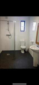 a bathroom with a shower and a toilet and a sink at McClure Yurt at Carrigeen Glamping in Kilkenny