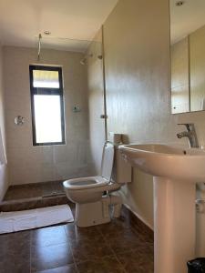 a bathroom with a toilet and a sink at Nyikani Villa Olpejeta in Nanyuki