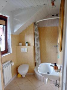 uma casa de banho com um WC e um lavatório em Gościniec Zośka em Ostrzyce
