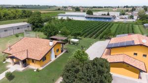 una vista aerea di una casa e di un vigneto di Agriturismo Tiare dal Gorc a Gorgo