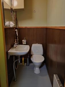 een kleine badkamer met een toilet en een wastafel bij ART Hotel JUNA in Imatra