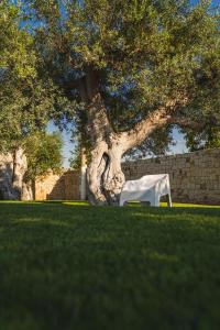 a white chair sitting in front of a tree at Olea Relais in Conversano