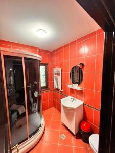 ein rotes Badezimmer mit Dusche und Waschbecken in der Unterkunft Vila Alsace Podu' cu Lanturi in Bacău + 55 Fotos