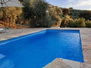 a blue swimming pool with an umbrella and trees at La Pluma in Iznájar