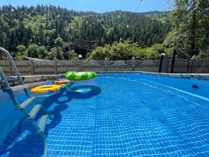 uma piscina com uma jangada e insufláveis em Serenity Likani Villa Hotel em Borjomi