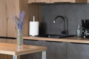 Kuchyň nebo kuchyňský kout v ubytování Apartman Ivan Krk