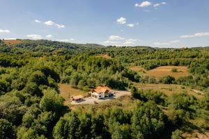 an aerial view of a house in the middle of a forest at Green Forest Ghermin in Negreni