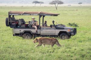 Gallery image of Cherero Camp in Serengeti