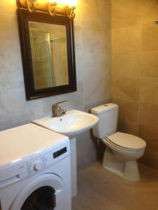 a bathroom with a toilet and a sink and a washing machine at Loutra Olive Gardens Stone House #1 in Mandrakion