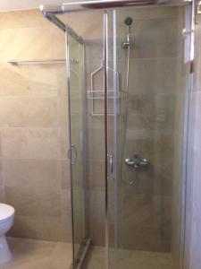 a shower with a glass door in a bathroom at Loutra Olive Gardens Stone House #1 in Mandrákion