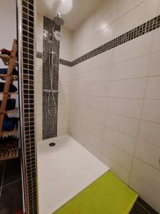 een badkamer met een douche en een groene mat. bij appartement vue mer avec parking in Ajaccio