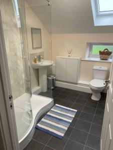 a bathroom with a shower and a toilet and a sink at Glen Cottage 8 Fenton Hill Farm in Wooler