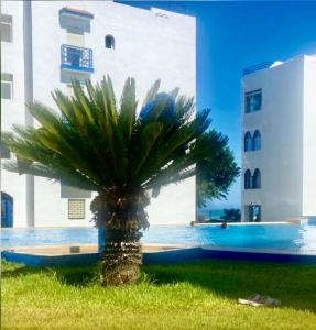 a palm tree in the grass next to a building at TANGER/ASILAH: APPART 50m2 FACE MER ET PISCINES, 5 PLACES, TOUT ÉQUIPÉ+WIFI+CLIM in Briech