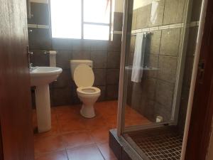 a bathroom with a toilet and a sink and a shower at Aloe 40 in Burgersfort