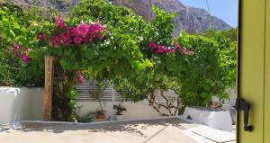 a view of a garden with flowers on a wall at Grandpa's Traditional Guesthouse in Amorgos