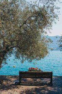 a park bench under a tree with flowers on it at Sensole locanda contemporanea in Monte Isola