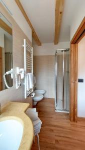 a bathroom with a shower and a toilet and a sink at Appartamenti Arnica in Alba di Canazei