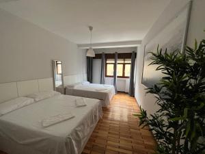a hotel room with two beds and a plant at MSuites Viveiro in Viveiro