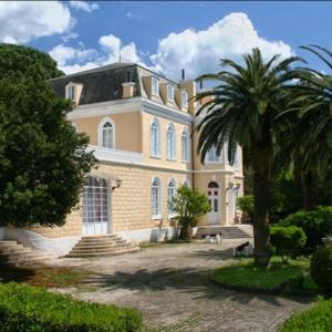 a large house with a palm tree in front of it at Studio Apartman Susanj Bar in Bar