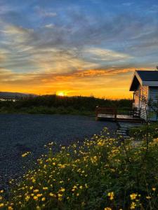 eine Bank, die neben einem Blumenfeld sitzt in der Unterkunft Cosy Cottage in Golden Circle near Thingvellir in Vaðlækir