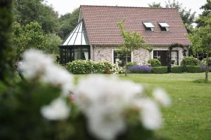 Zahrada ubytování Villa Magnolia