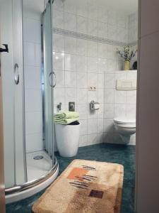 een badkamer met een douche, een toilet en een tapijt bij Ferienwohnung Am Hasenberg in Bad Doberan