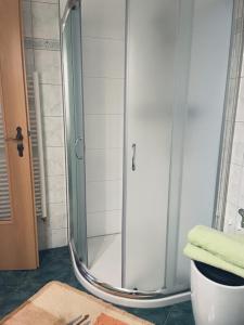 een douche met een glazen deur in de badkamer bij Ferienwohnung Am Hasenberg in Bad Doberan