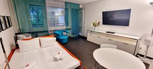 Camera ospedaliera con letto e TV di Bissone Apartment a Bissone