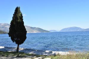 Táj Show holiday homes közelében