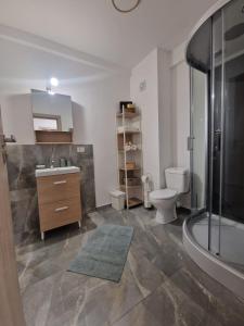 Blooming Apartment, Baile Felix في بايلي فيليكس: حمام مع دش ومرحاض ومغسلة