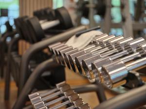 Fitness centrum a/nebo fitness zařízení v ubytování Sporthotel Wagrain