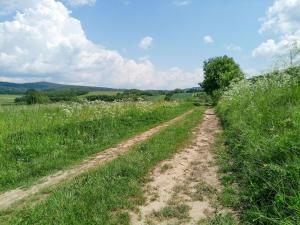 Príroda v okolí apartmánu