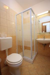 a bathroom with a toilet and a shower and a sink at Double Room Zaglav 8144a in Zaglav