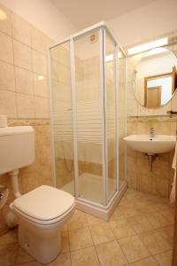 uma casa de banho com um chuveiro, um WC e um lavatório. em Double Room Zaglav 8144b em Zaglav