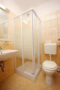 a bathroom with a shower and a toilet and a sink at Double Room Zaglav 8144c in Zaglav