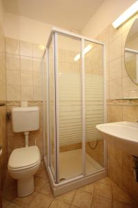 a bathroom with a shower and a toilet and a sink at Double Room Zaglav 8144d in Zaglav
