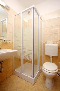 a bathroom with a shower and a toilet and a sink at Double Room Zaglav 8144e in Zaglav