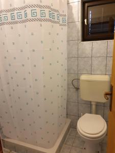 a bathroom with a toilet and a shower curtain at Triple Room Metajna 4120f in Metajna