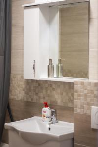 een badkamer met een wastafel en een spiegel bij Apartman 21 in Vranješ