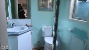 a bathroom with a toilet and a sink and a mirror at Boxhill 短租房 in Box Hill