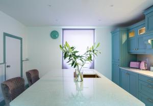 a kitchen with a table with a vase with a plant at Curragh House in Kinsale