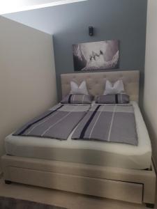 a bed in a room with a large bedvisor at Alex Apartman in Békéscsaba