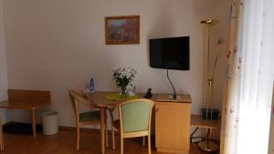 TV a/nebo společenská místnost v ubytování Hotel Dreisonnenberg