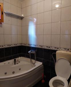 a bathroom with a toilet and a bath tub and a toilet at Apartments Igor in Žabljak