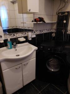 a bathroom with a sink and a washing machine at Apartments Igor in Žabljak
